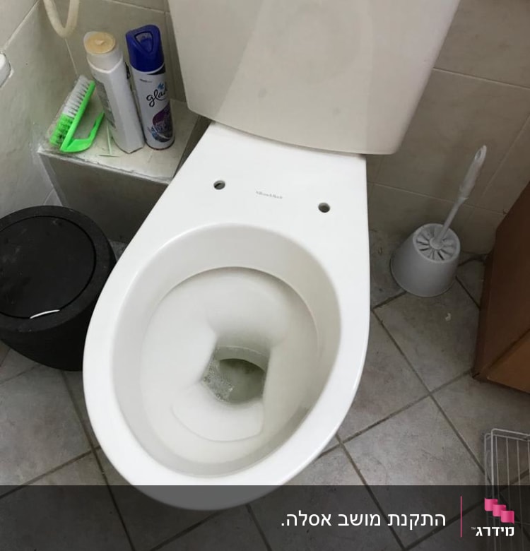אסלה עם מברשת ניקוי וכלי ניקוי נוספים